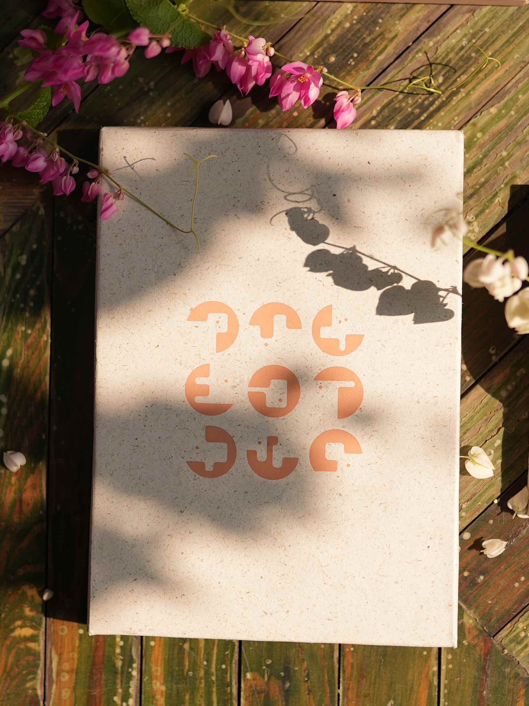 Paperdom x Design Ni Dukaan Notebook